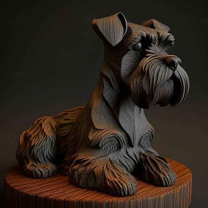 Zwergschnauzer dog